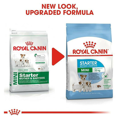 Royal Canin Mini Starter, Mother & Babdog Food, 1 Kg, Dry Food, Supports Complex Natural Defence & digestive health, Provides Gestation/Lactation Support, Supports Easy rehydration