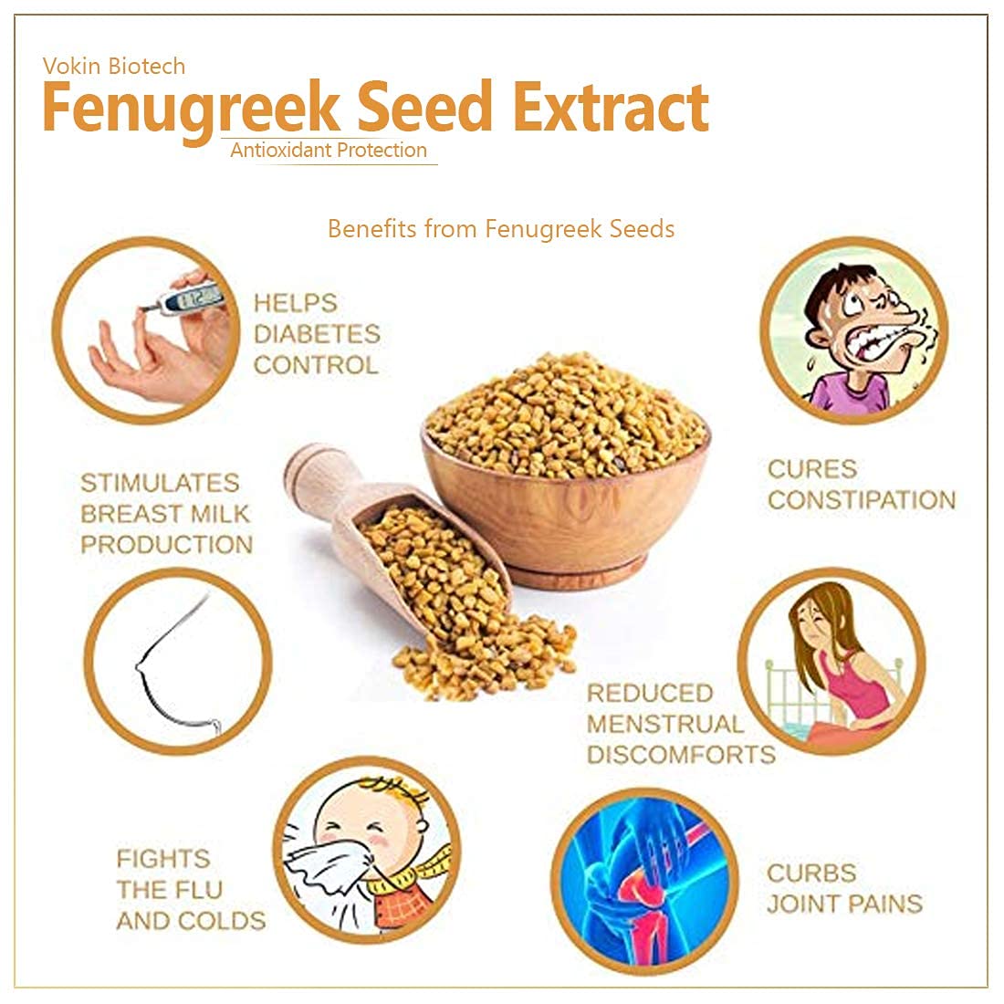 Fenugreek Seed Extract benefits with images and text on a white background
