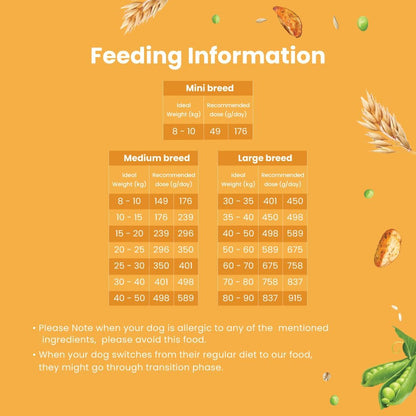 Bark Out Loud Veg Adult Dog Food for Medium & Large Breeds - Naked Oats & Veggies High Protein, Prebiotics, Vitamins & Fibre 100% Vegetarian Dry Dog Food- 300 Gm