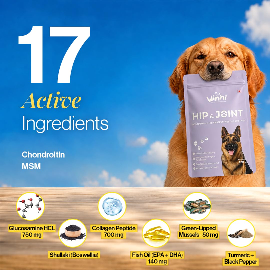 Winni Hip and Joint Supplement for Dogs | Supports Joint Health, Mobility & Flexibility | Chicken Flavor | Suitable for Puppies, Adult & Senior Dogs | No Preservatives or Additives | 120g