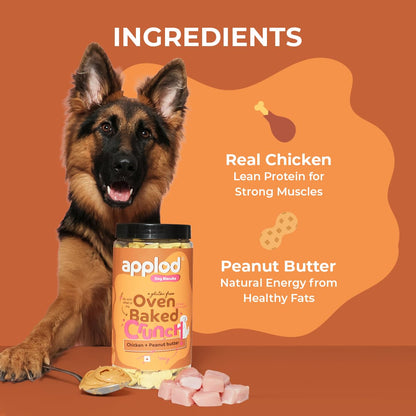 applod Crunch-a-Licious Chicken & Peanut Butter Dog Biscuits for Puppies & Adult Dogs | Gluten-Free Crunchy Treats Made with Real Chicken Protein | Healthy Training & Reward Snacks | 800g