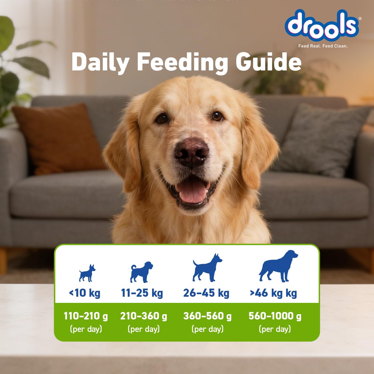 Drools Adult & Puppy Dry Dog Food 1.2 kg Pack | 100% Vegetable Flavour | All Lifestages | Better Digestibility | Strong Bone and Teeth Development | Boosted Immunity