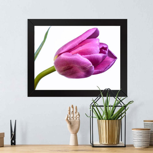 Printed Photo Frame Matte Painting for Home Office Studio Living Room Decoration (17x11inch Black Framed) - Single Pink
