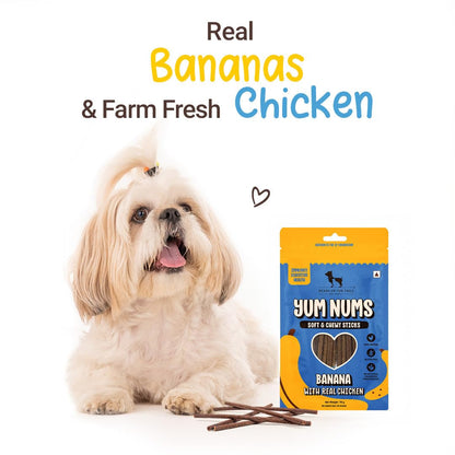Yum Nums by HUFT Soft & Chewy Sticks - 70 gm | Banana & Chicken Dog Treats | Puppy Training Treats | Dog Snacks & Treats for Small & Large Dogs | High-Protein