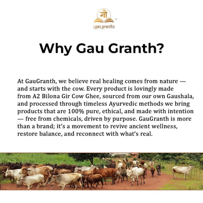 cow ved GauGranth A2 Gir Cow Ghee – 500ml (Pack of 1) | Traditional Wooden Bilona Desi Ghee | Hand-Churned from Grassfed A2 Gir Cow Milk | 100% Pure, Natural & Healthy | Vedic Method | Glass Jar Packaging