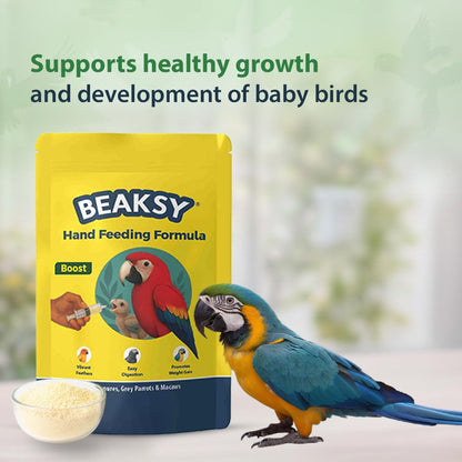 BEAKSY Boost Hand Feeding Formula for Baby Birds | for Conures, Grey Parrots & Macaws | Promotes Weight Gain, Vibrant Feathers & Easy Digestion (250gm)