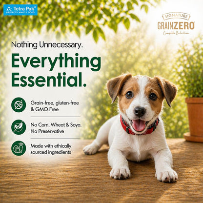 Grain Zero Dog Fresh Food Tetra Pak Real Chicken & Vegetables, for Adult & Puppy, 350g | Supports Joint & Health | Immune System | Anti Inflammatory Properties | Ready to Serve | One Pack One Meal