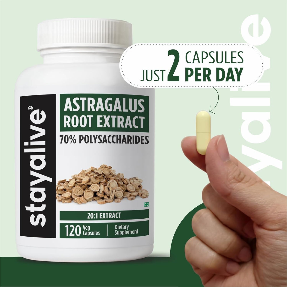 STAYALIVE Astragalus Root Extract 600mg, 70% Polysaccharides, 120 Capsules