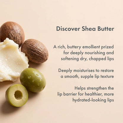 Salm Skin Lip Glaze Savanna Truffle (10gm) | Repairs Dry & Chapped Lips | Peptide Infused Lip Softener | Brown tint with Sheen | Korean Lip Balm