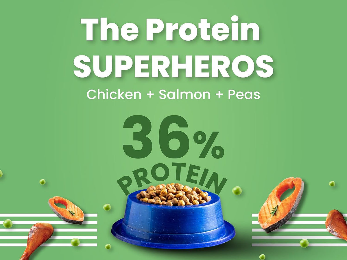 BARK OUT LOUD - Premium Kitten Dry Food | Fresh Salmon & Chicken | Hairball Control | Taurine |Omega Fatty Acids | Probiotivs-No Preservaties - Made in Belgium Kibbles for Kitten (1kg)