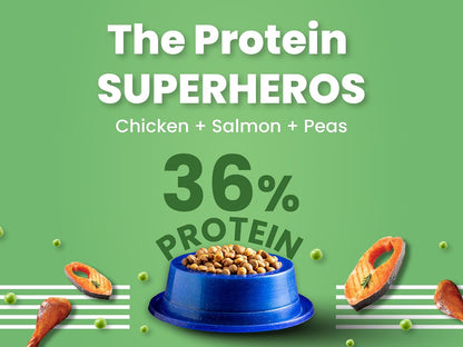BARK OUT LOUD - Premium Kitten Dry Food | Fresh Salmon & Chicken | Hairball Control | Taurine |Omega Fatty Acids | Probiotivs-No Preservaties - Made in Belgium Kibbles for Kitten (1kg)