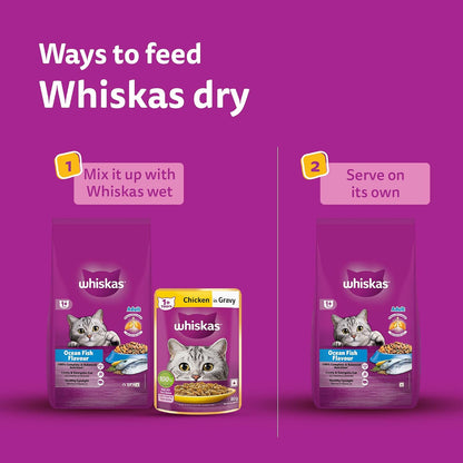 Whiskas Adult (1+ Years) Dry Cat Food, Ocean Fish Flavour, 1.2 kg, Contains 41 Essential Nutrients, Complete & Balanced Nutrition for Adult Cats