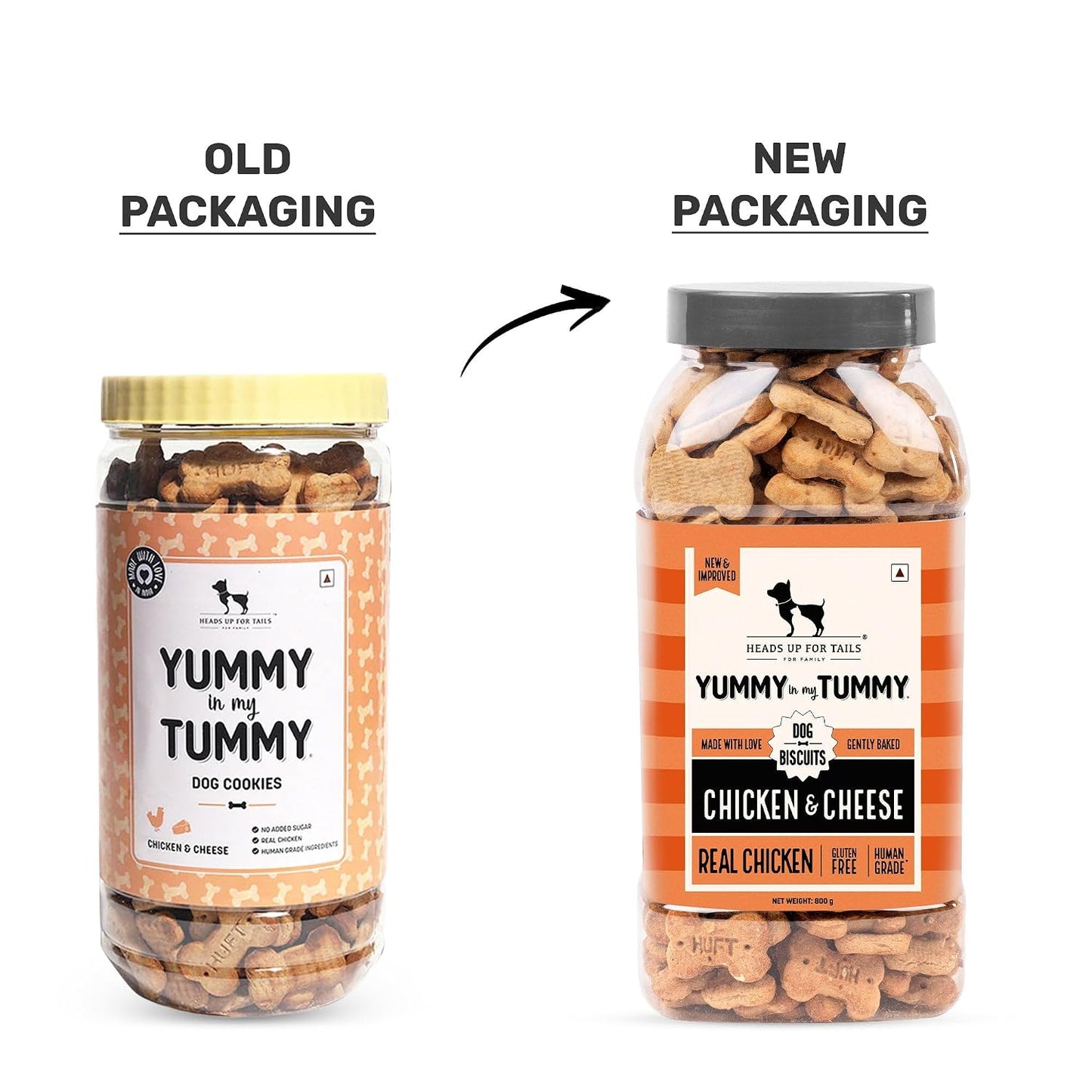 Yummy in My Tummy by HUFT Chicken & Cheese Dog Biscuits – 800 gm | Crunchy & Healthy Treats for Puppies & Adult Dogs | High-Protein Snack | Ideal Training Treat for All Life Stages Dogs