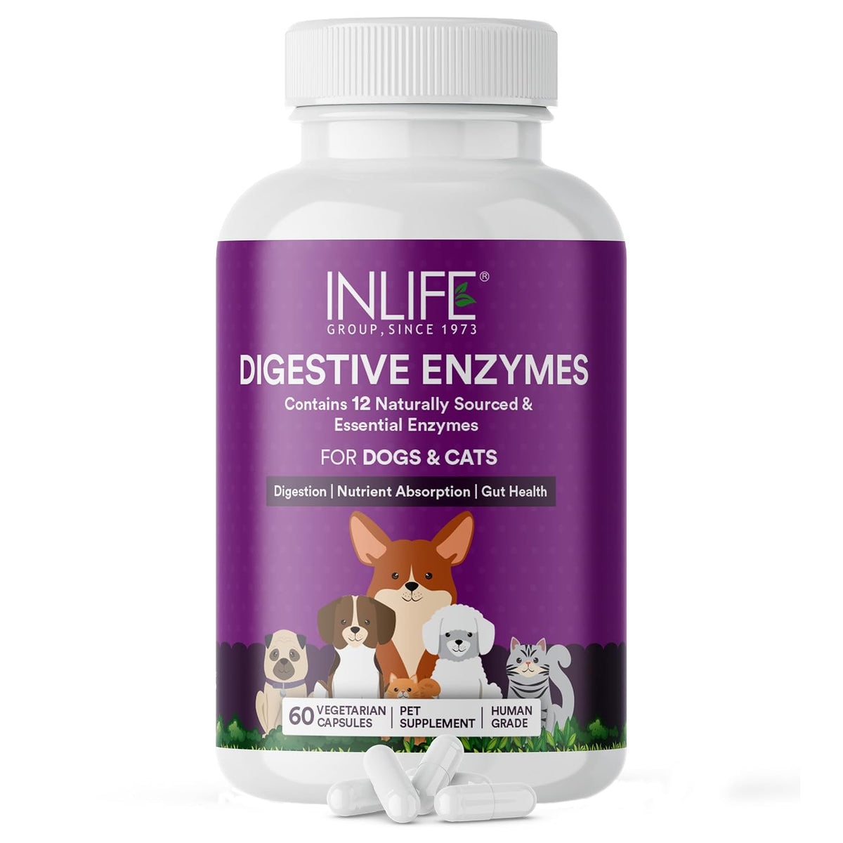 INLIFE Digestive Enzymes for Dogs Cats and Pets | Contains 12 Naturally Sourced & Essential Enzymes - 60 Vegetarian Capsules