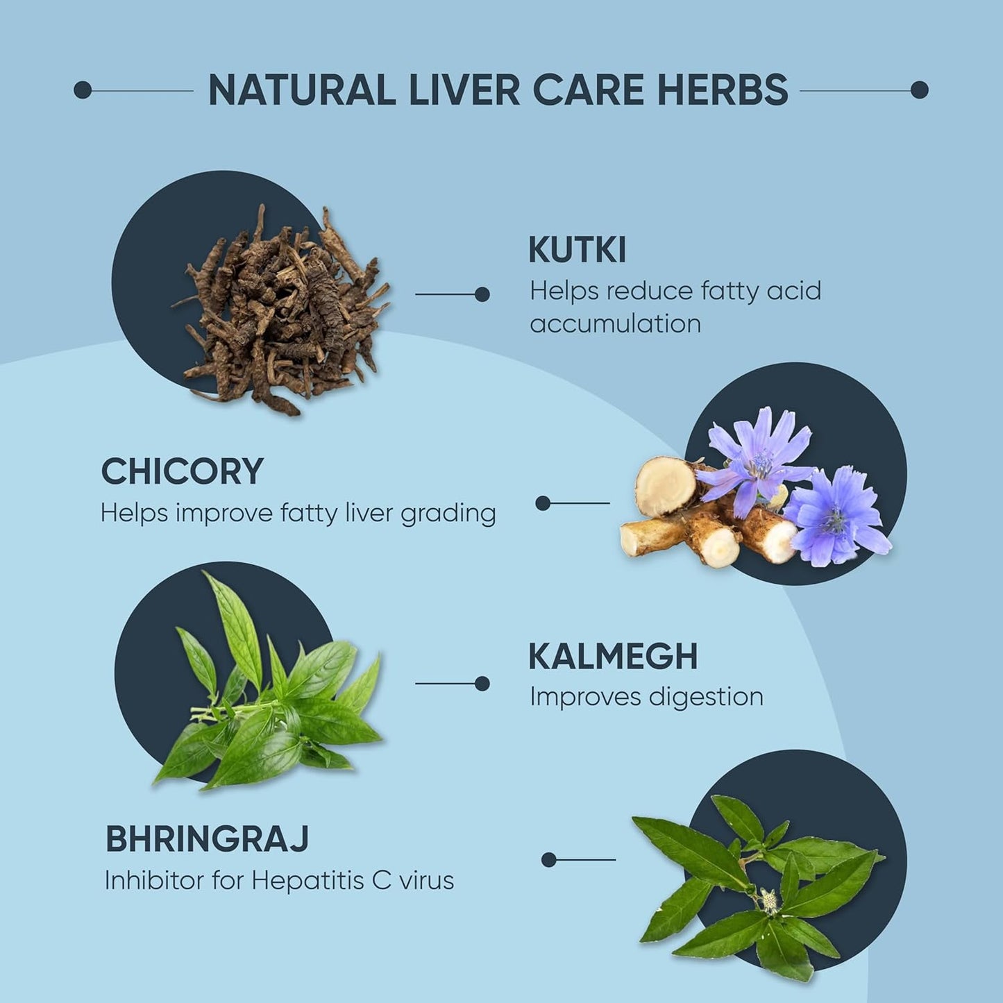 Dr. Vaidya Liver Care Tablets | Ayurvedic Fatty Liver Support, Detox & Cleanse | Improves Liver Health, Digestion & Metabolism | Herbal Supplement with Ayurvedic Herbs | 60 Tablets