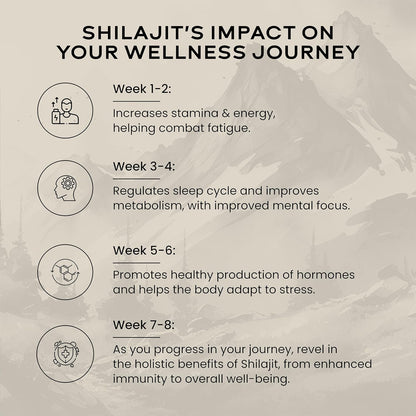 Wellbeing Nutrition Pure & Natural Himalayan Shilajit Original Resin 20g for Strength, Stamina & Performance | Shilajit Resin for Men & Women with 75% Fulvic Acid & 85 Trace Minerals | Lab Tested