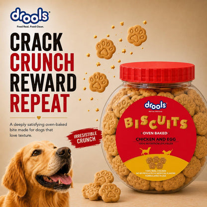 Drools All Life Stages Dog Treat Biscuits 400g Jar | Real Chicken Flavour | All Breed Formula | Promotes Lustrous Skin & Coat | Vitamins & Minerals | Reduces Tartar Build Up
