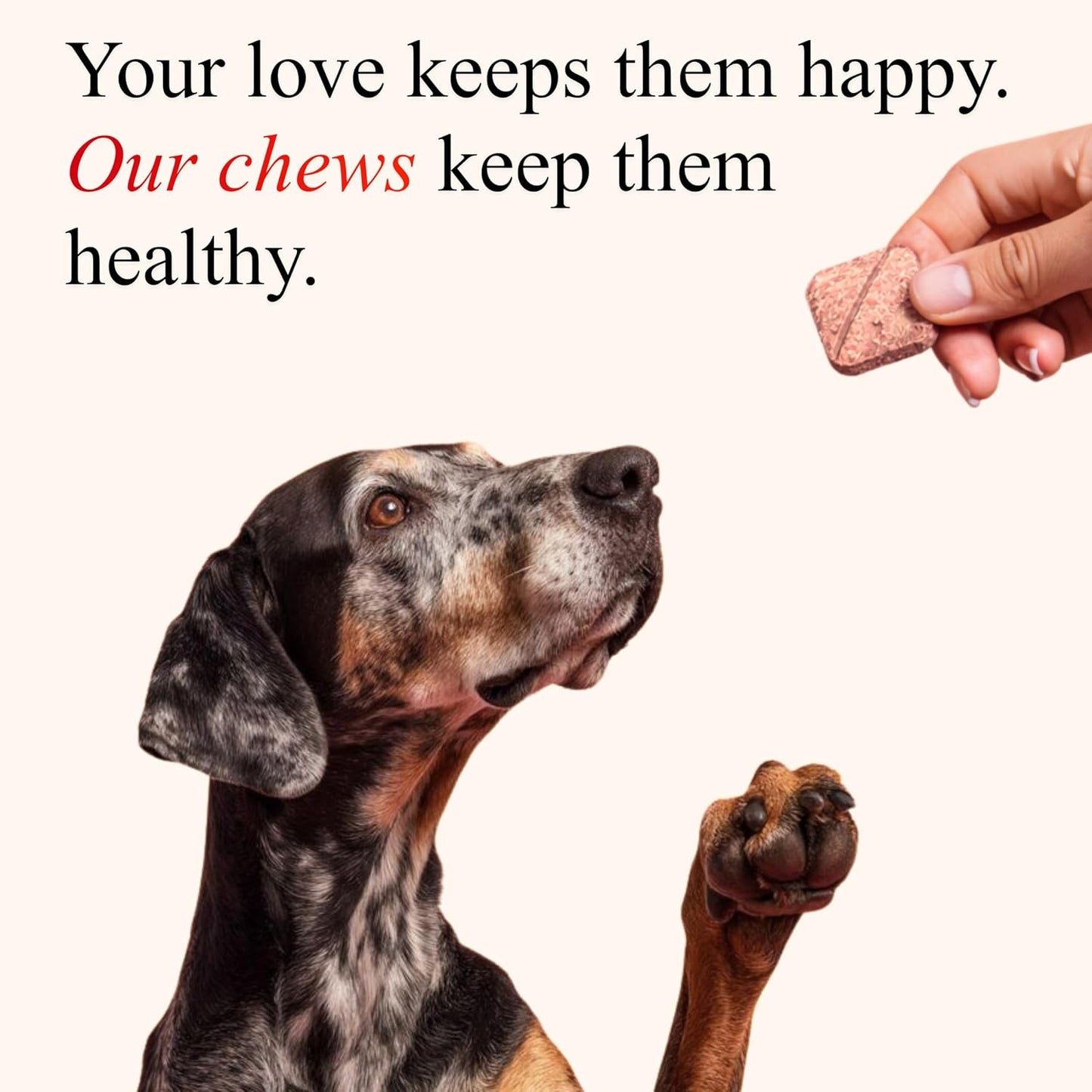 Petroyale Cranberry Chews for Dogs - Dog UTI Health Supplement - Better Urinary Tract & Bladder Function - Antioxidant, Anti-Inflammatory - for Dogs of All Breeds (30 Chews Tabs)
