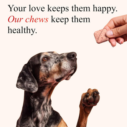 Petroyale Cranberry Chews for Dogs - Dog UTI Health Supplement - Better Urinary Tract & Bladder Function - Antioxidant, Anti-Inflammatory - for Dogs of All Breeds (30 Chews Tabs)