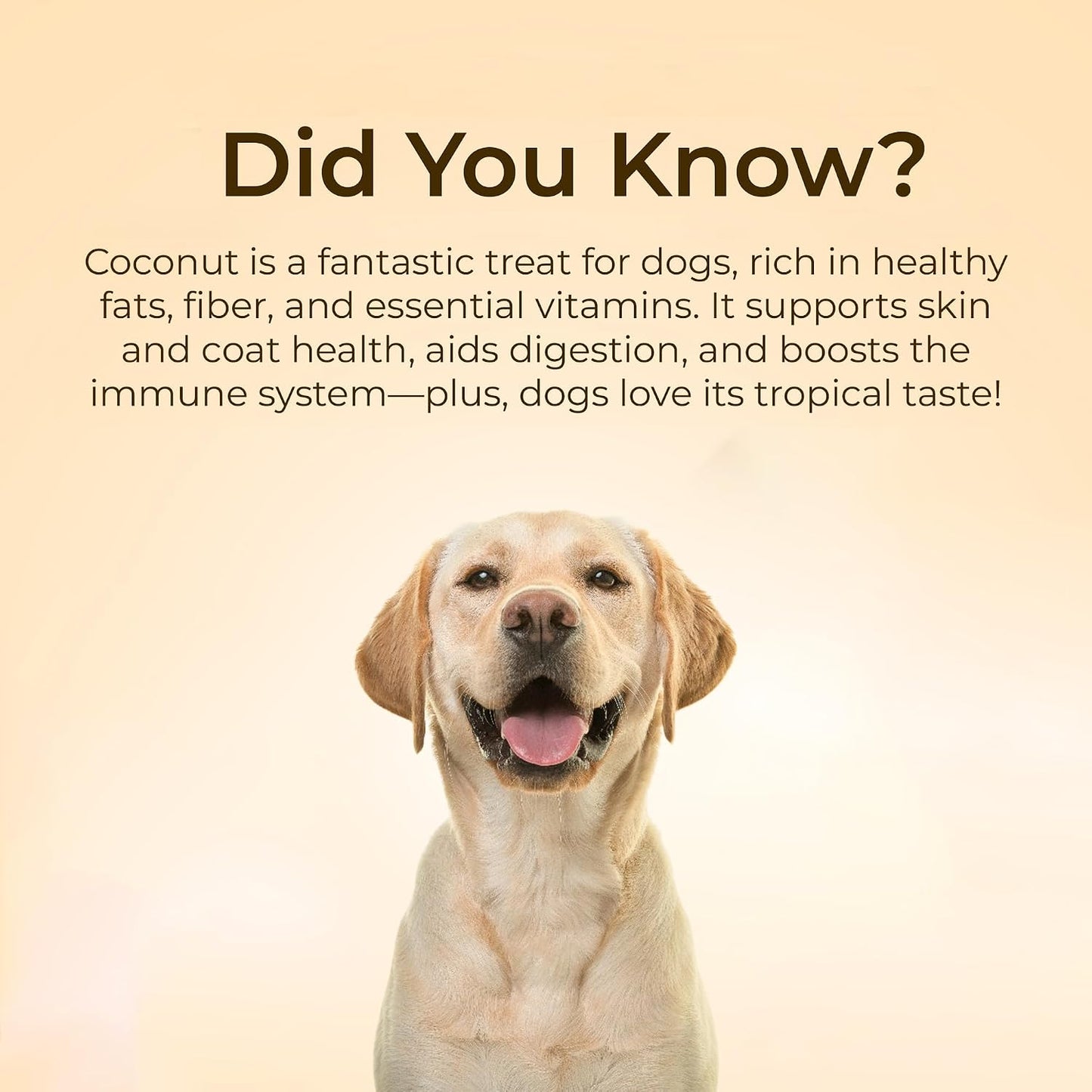 Pawfect 100% Natural Freeze-Dried Coconut Treats for Dogs | Single Ingredient | Vegan Treats | Grain & Gluten Free | Low Calorie Training Treats (50g)