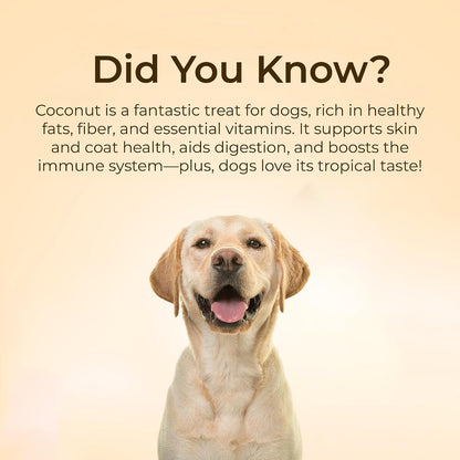 Pawfect 100% Natural Freeze-Dried Coconut Treats for Dogs | Single Ingredient | Vegan Treats | Grain & Gluten Free | Low Calorie Training Treats (50g)