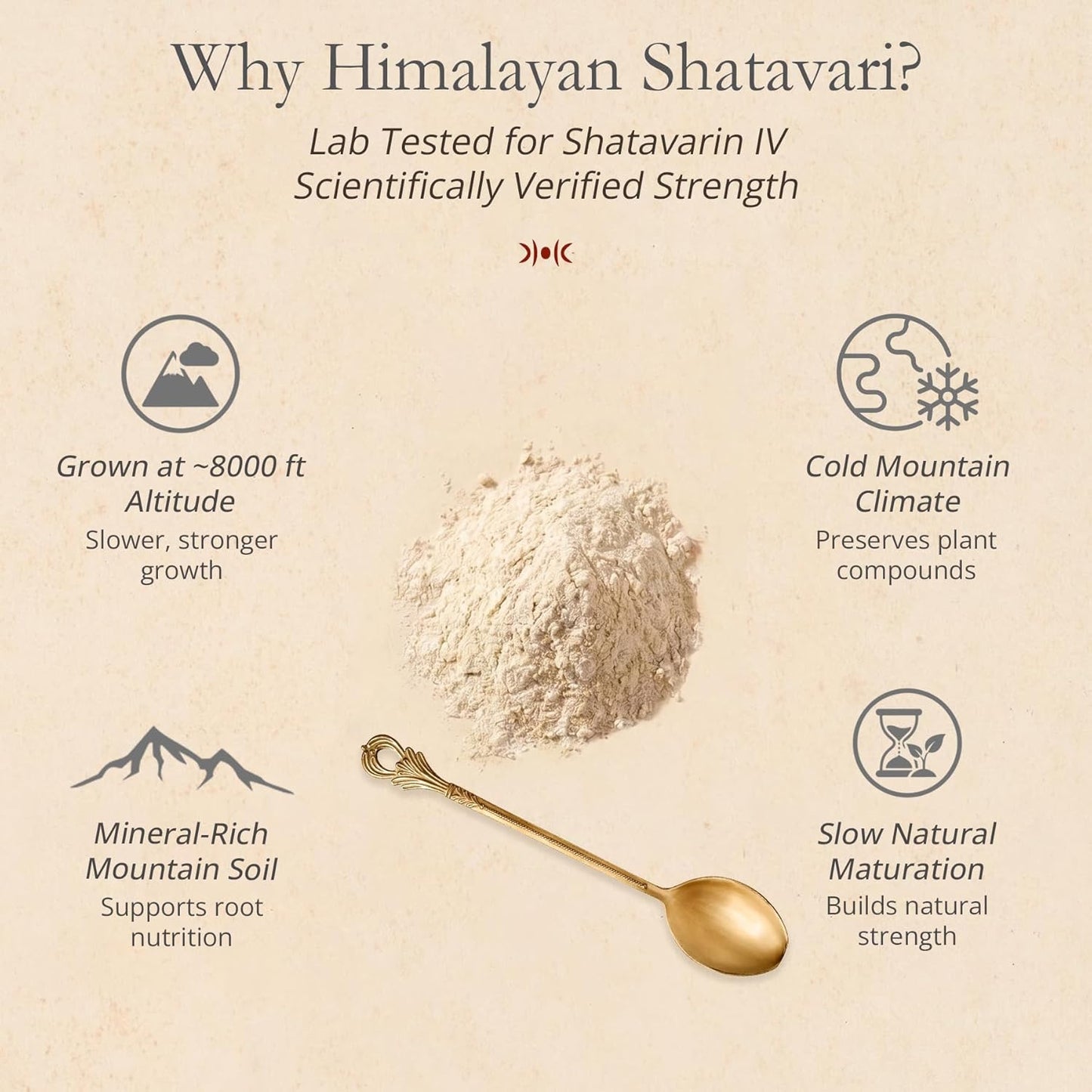 Himalayan Shatavari Powder - 80g | 100% Natural & Organic | Supports Women’s Health & Hormonal Balance, Lactation, PCOS & PMS | Immunity & Vitality Booster | No Preservatives | Lab Tested