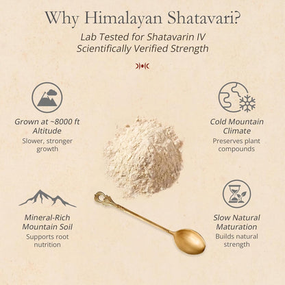 Himalayan Shatavari Powder - 80g | 100% Natural & Organic | Supports Women’s Health & Hormonal Balance, Lactation, PCOS & PMS | Immunity & Vitality Booster | No Preservatives | Lab Tested