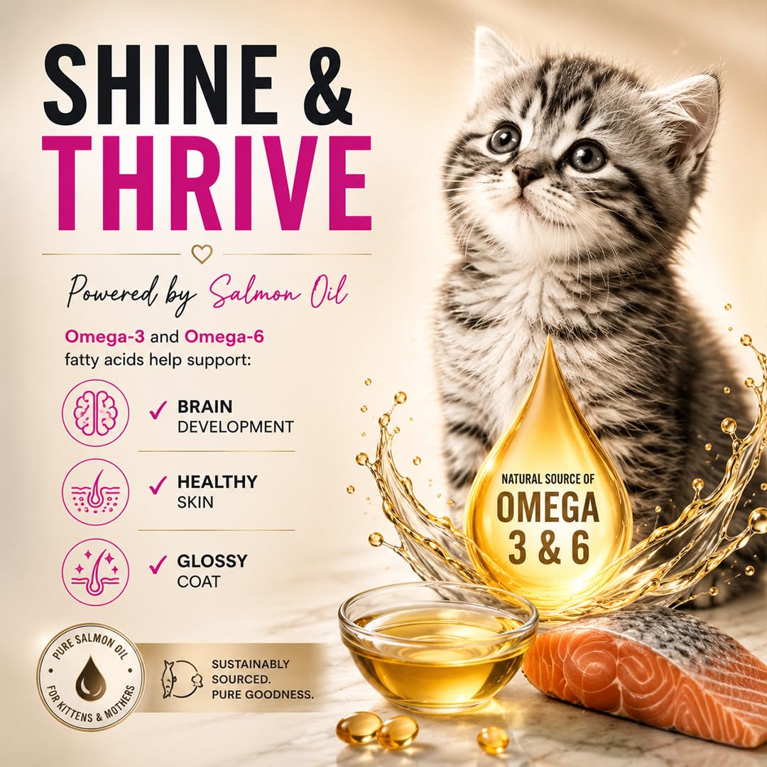 Grain Zero Kitten Dry Cat Food 1.2kg | Ocean Fish, Sardine & Mackerel | DHA Supports Brain Development | 48% Fresh Meat Content | Nourishes Skin & Fur