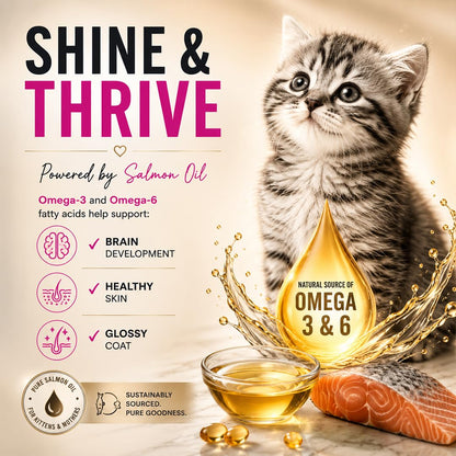 Grain Zero Kitten Dry Cat Food 1.2kg | Ocean Fish, Sardine & Mackerel | DHA Supports Brain Development | 48% Fresh Meat Content | Nourishes Skin & Fur