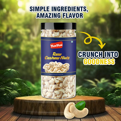 YUM YUM Pure Cashews Whole/Kaju, 500g, Nutritious & Delicious, Premium Kaju nuts, Rich in Protein, Magnesium & Phosphorus, Deluxe Size & Crunchy Nuts Jar