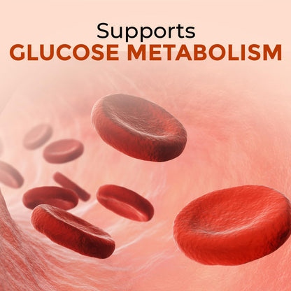 Salacia Oblonga Capsules – 60 Capsules | Supports Healthy Blood Pressure & Cholesterol Levels | 100% Natural Salacia Extracts | Plant-Based Ingredients