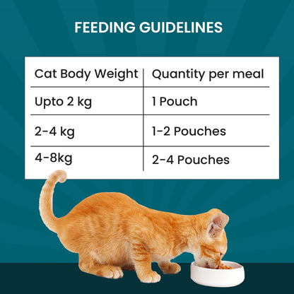 Goofy Tails Wet Cat Food and Kitten Food Variety Pack 210g (70g X 3 Pouches), Tuna and Anchovies, Mackerel and Seaweed, Chicken and Flaxseeds, Preservative Free, Wholesome, Natural Cat Wet Food