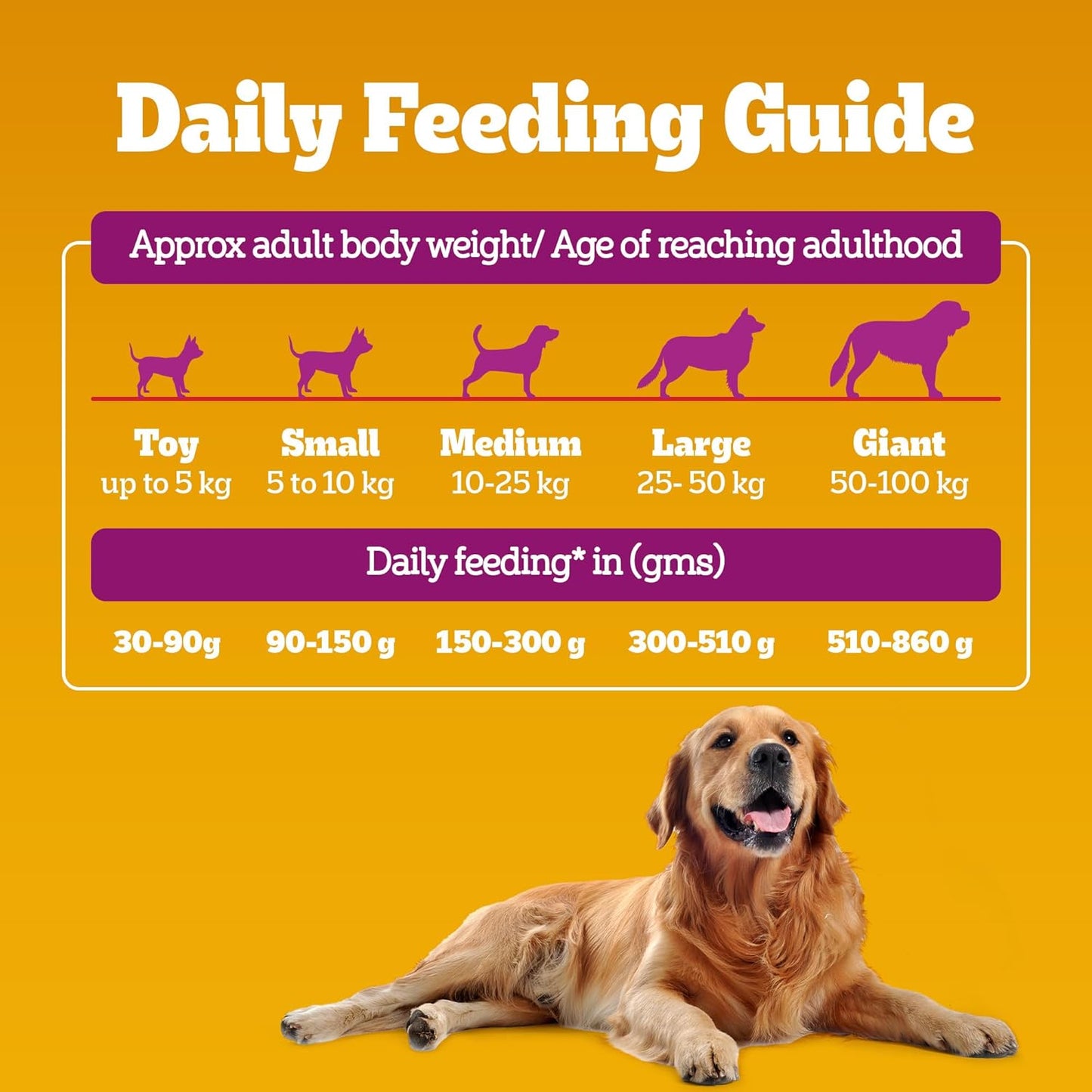 Pedigree Adult Dry Dog Food, New Chicken Biryani Flavour, 1 kg, Protein of 4 Chicken Pieces, Vitamin D3 of 6 Eggs, Calcium of 7 Cups of Yogurt, 100% Complete and Balanced Nutrition