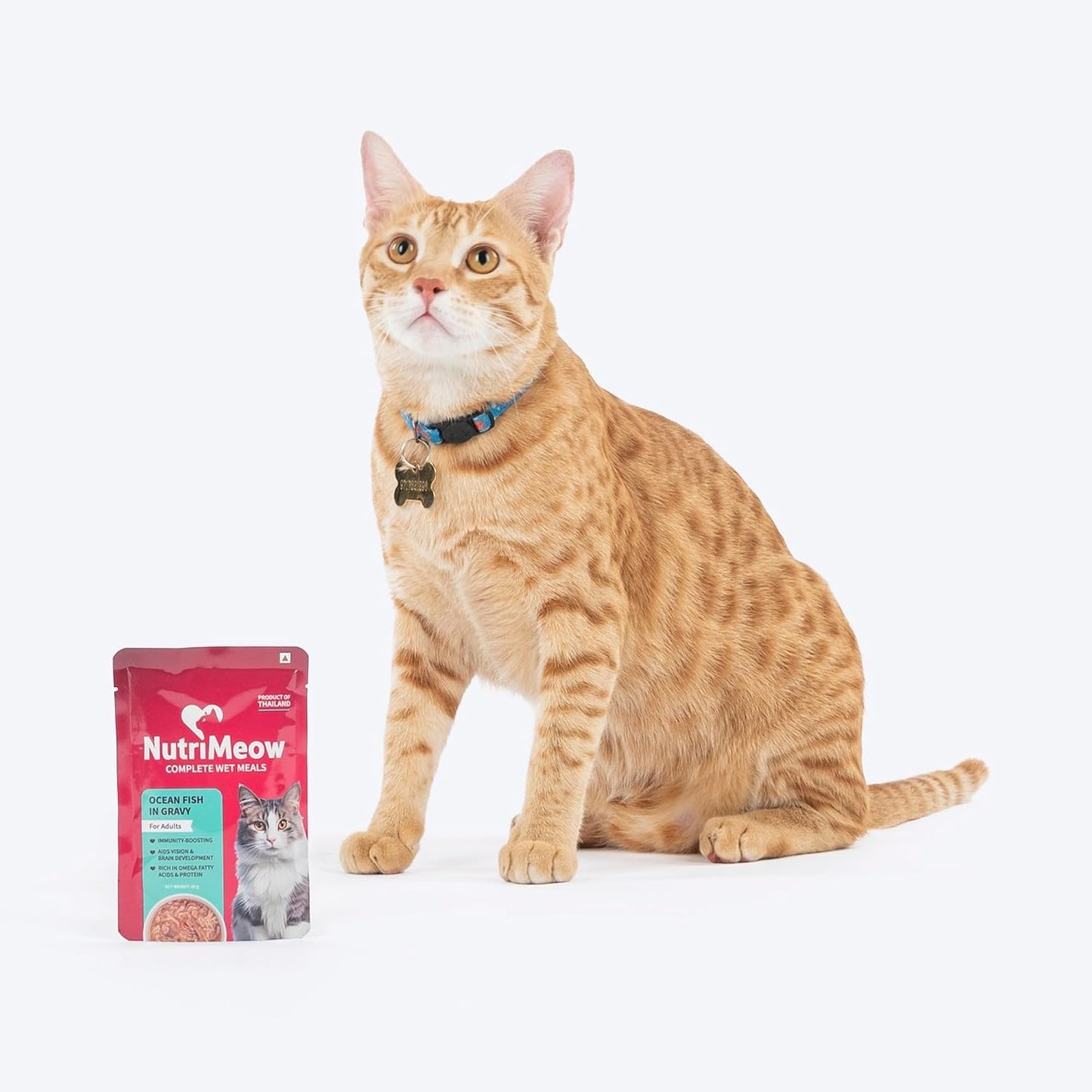 NutriMeow Oceanfish in Gravy Wet Food Pouch for Adult Cats - 80 gm | Nutritious, Protein-Packed & Delicious Cat Meal | Balanced Wet Cat Treats for Persian Cats & All Breeds
