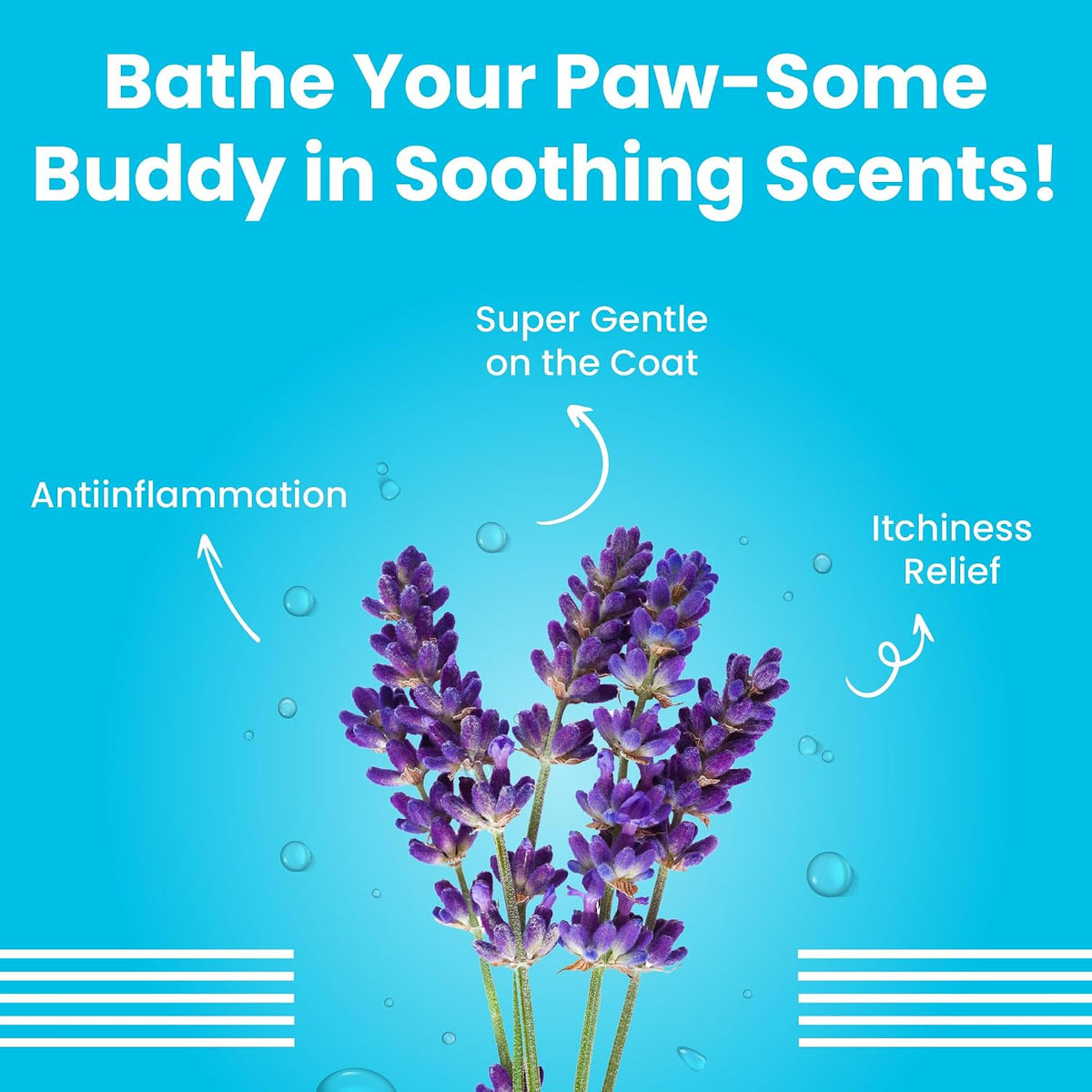 Bark Out Loud by Vivaldis - 2-in-1 Dog Shampoo & Conditioner for Healthy, Shiny Coats (200 ml)