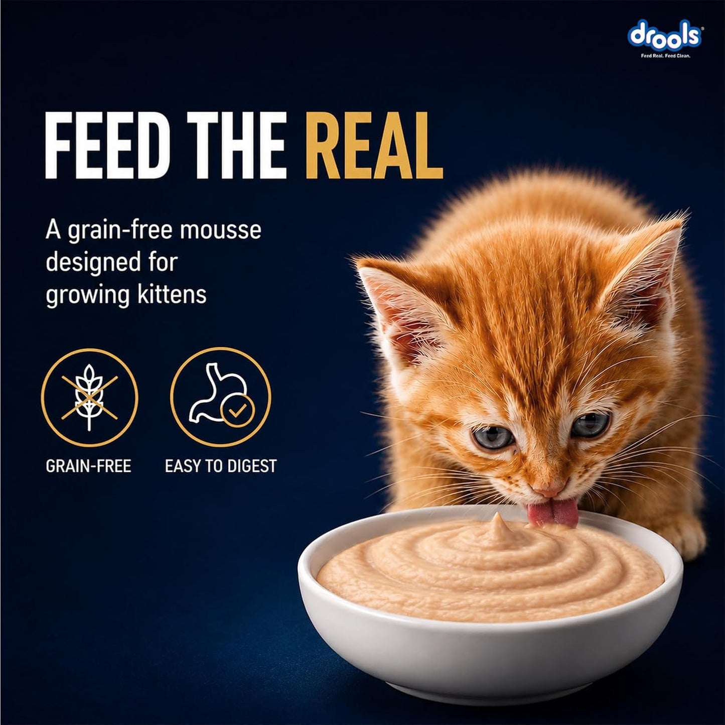 Drools Kitten Wet Mousse 80g | Chicken | High Protein | Supports Hydration & Easy Digestion | Grain Free | No Artificial Additives | Enriched with Vitamins & Antioxidants