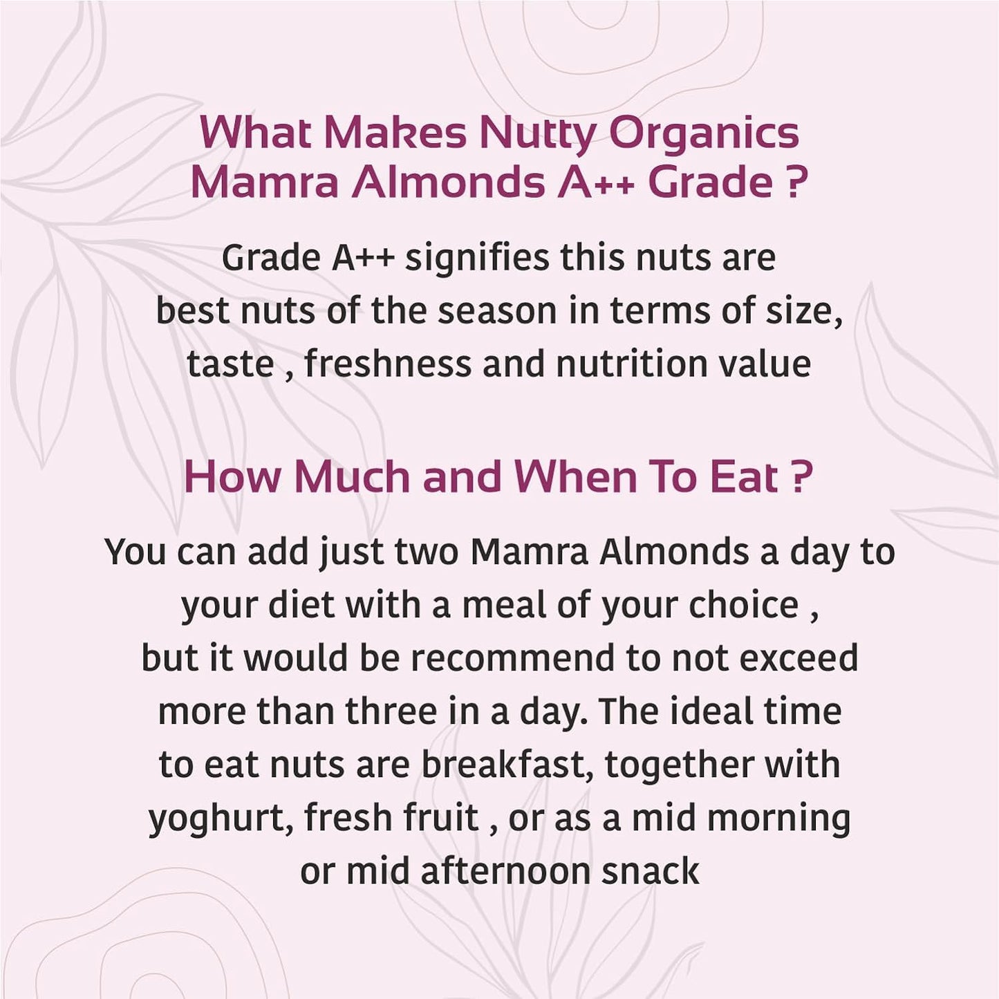 Nutty Organics Almonds Mamra (Grade A ++ Nuts, Premium,Rich In Oil, Imported) Richest Natural Source of Vitamins, Magnesium & Protien | Special Mamra Badam Giri