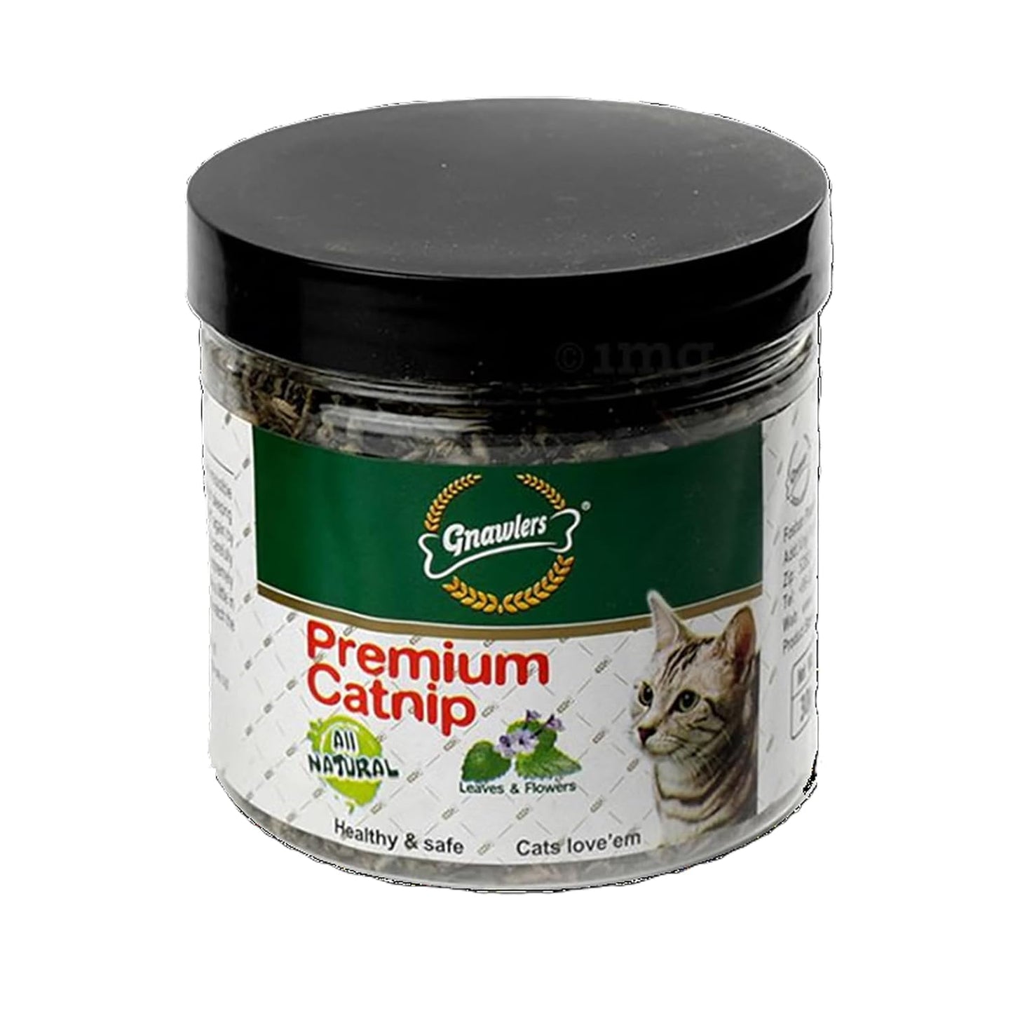 Gnawlers Natural & Organic Catnip Jar for Cats & Kitten,Mint Fragrance Leaves & Flowers, Healthy & Safe | Used on Toys and Scratchpads | Stimulate Playful Behaviour 30gm, (Pack of 1)