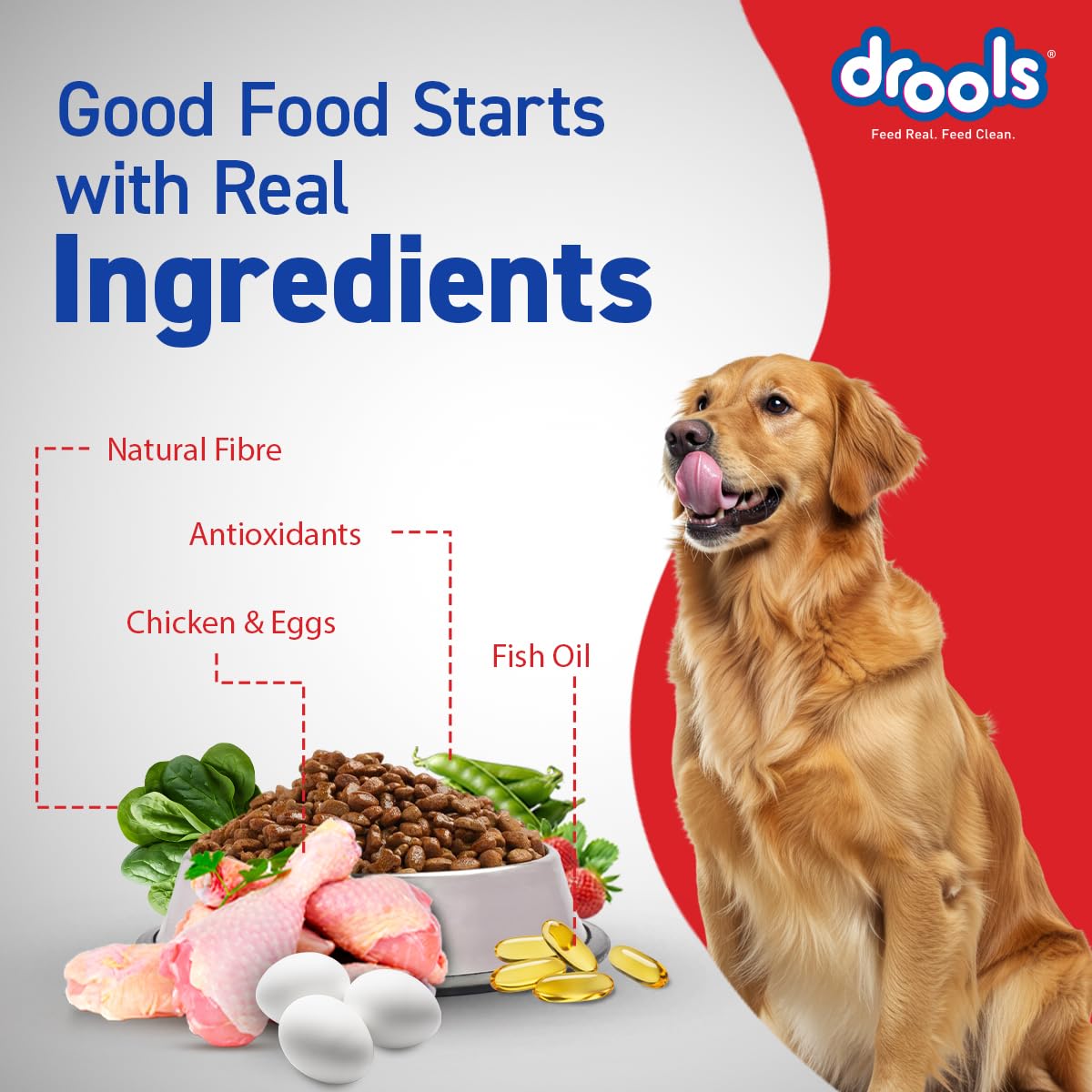 Drools Adult Dry Dog Food 1.2kg | Chicken & Egg Flavour | Omega 3 & 6 for Growth | Better Digestibility | Supports Joint Health