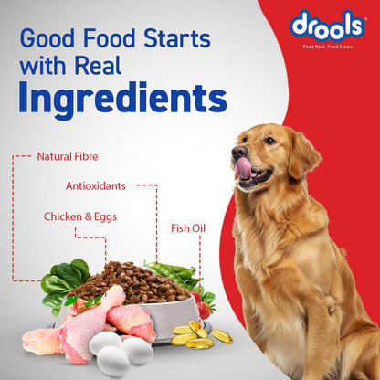 Drools Adult Dry Dog Food 1.2kg | Chicken & Egg Flavour | Omega 3 & 6 for Growth | Better Digestibility | Supports Joint Health