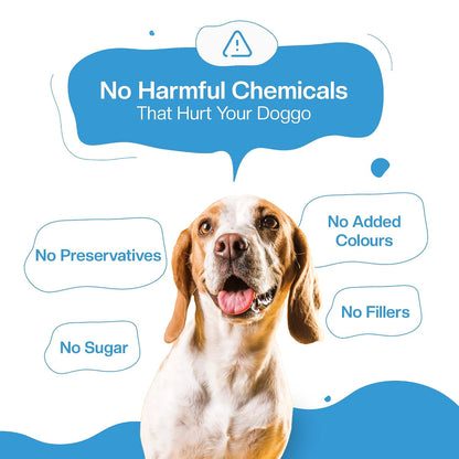BLEP Dog Food Adult & Puppy | 100g | Dog Wet Food, High Protein, Omega 3&6, Contains Chicken Breast, Broccoli, Fresh Vegetables, Zero Preservatives, Digestible, Human Grade Fresh (Pack of 1)