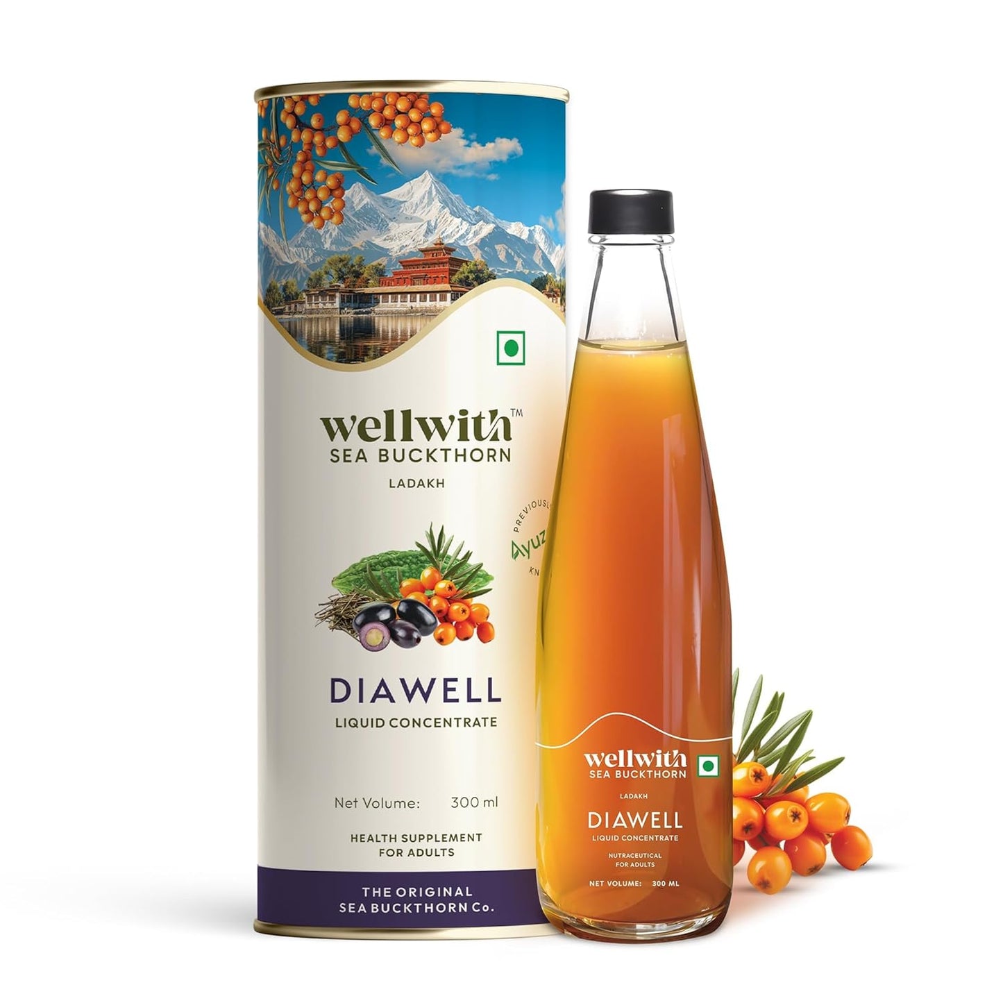 Wellwith (Ayuzera) DiaboWin (Diawell) Seabuckthorn Pulp With Karela & Jamun Diabetic Care Juice 300ml | Chirata and Punarnava | Ayurvedic | Makes Upto 50 Glass Juice (300ml, Pack of 1)