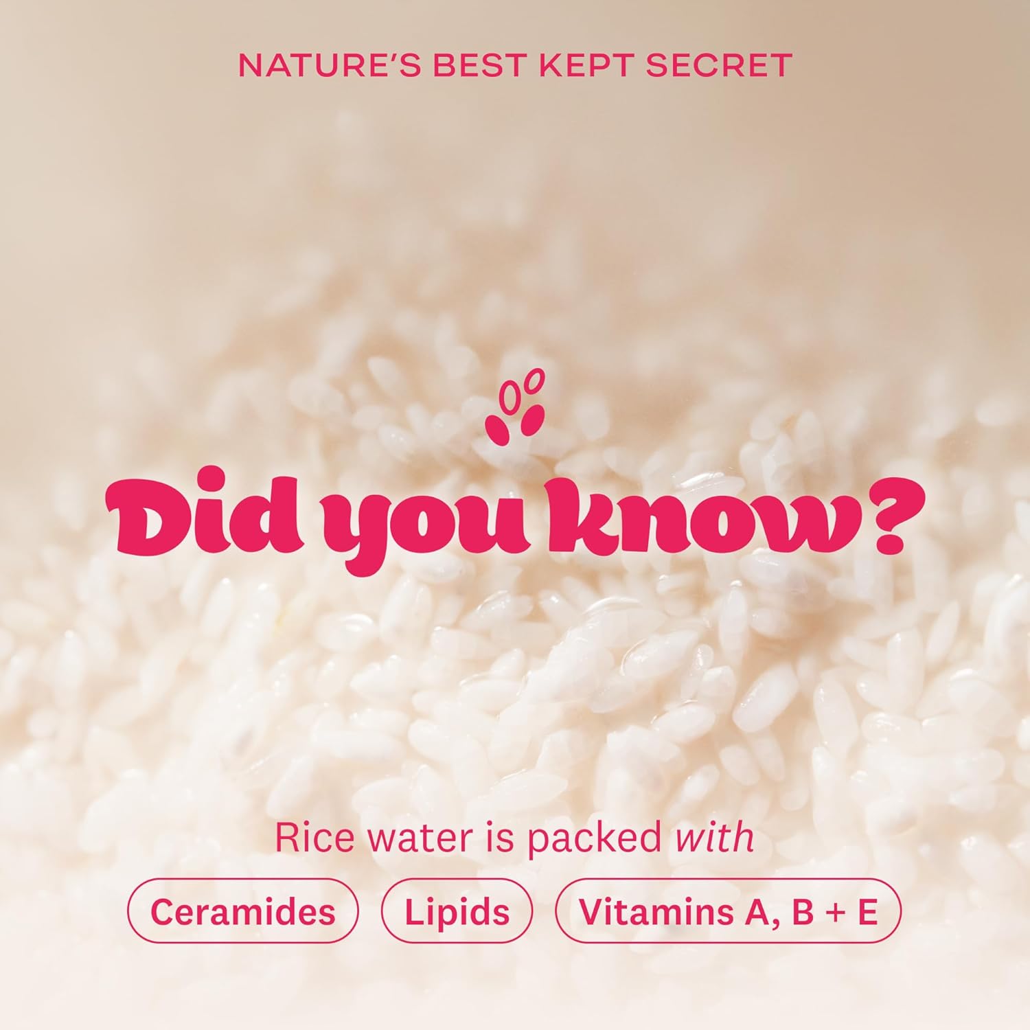 Text overlay on a background of rice with information about rice water benefits.