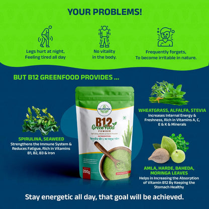 B12 Green Food Powder, 200g | Plant Based Vitamin B12 Supplement (B12GreenFood Powder) | Vitamin B1, B2, B3, B6, B9,C & A | Boost Energy Level, Good For Digestion & Stress, For Men & Women