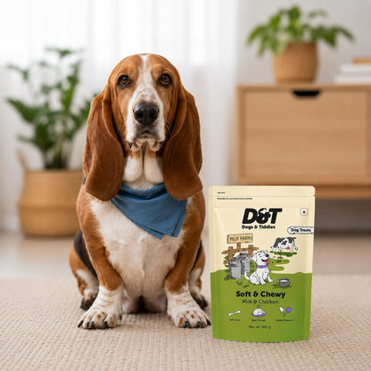 Dogs & Tiddles Milk & Real Chicken Dog Treats for Puppies & Adult Dogs, 100g | Soft & Chewy Puppy Treats | Easily Digestible and Healthy| Tasty Training Treats and Dog Snacks