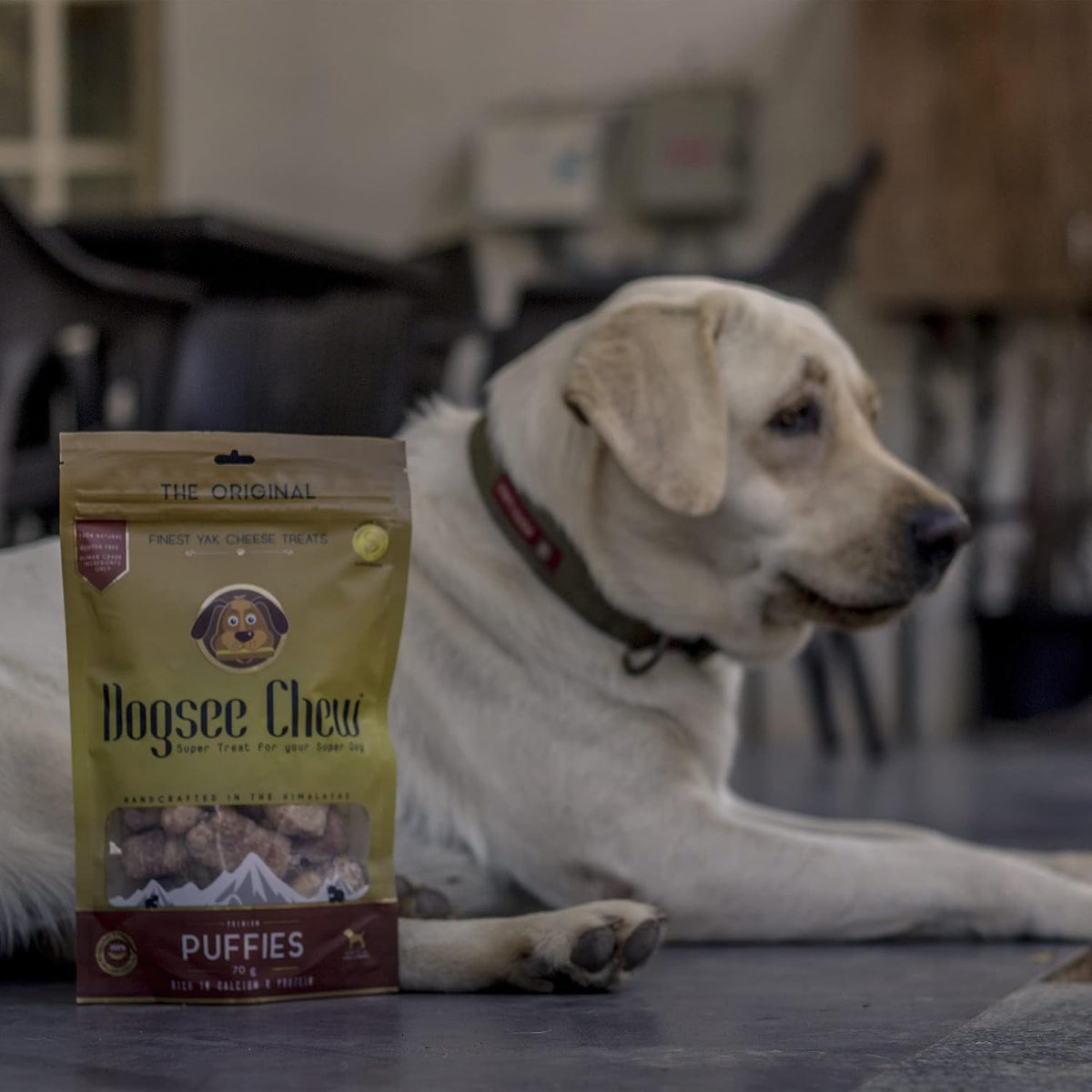 Dogsee Chew Puffies | 100% Natural Himalayan Yak Chews | Ideal Training Treats | Gluten-Free and Grain-Free Nutrition for Dogs of All Ages and Breeds - 70 Gm