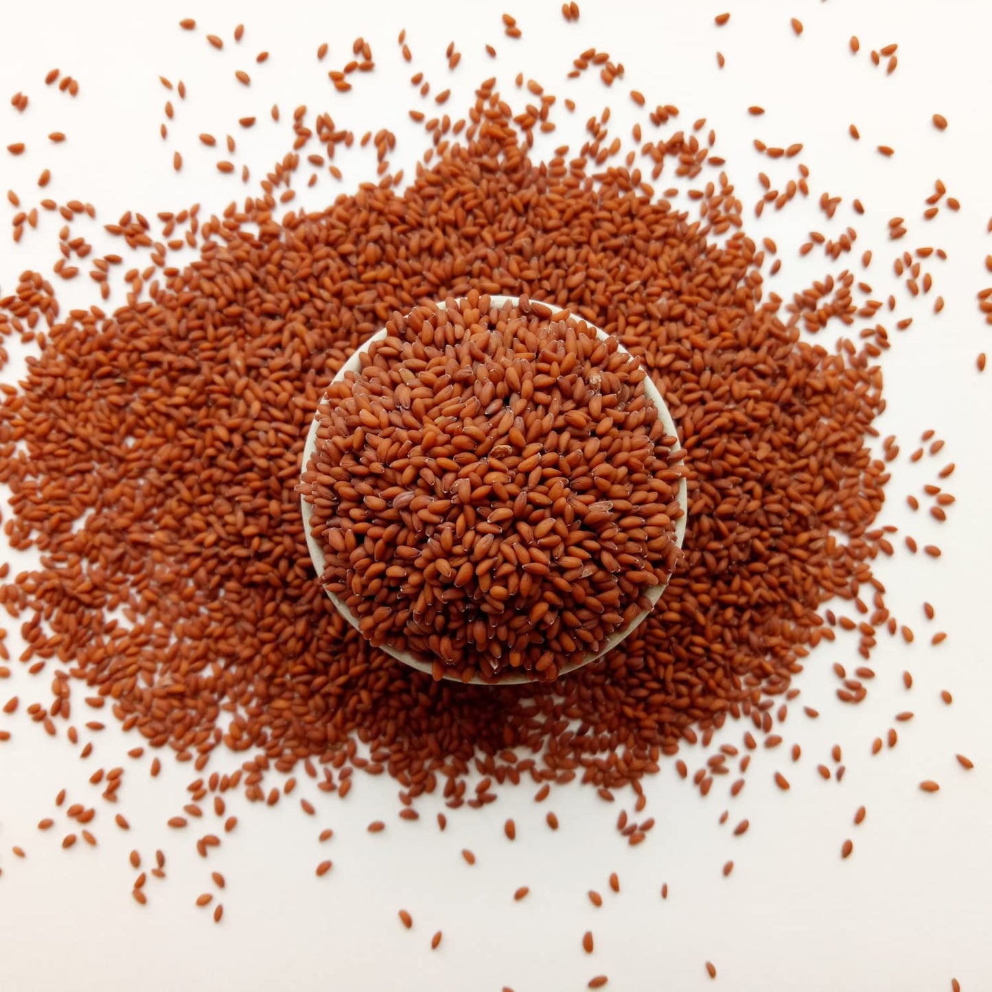 Bliss of Earth Halim Seeds Organic for Eating | 600gm Halim Seeds for Eating | Aliv Organic | Garden Cress | Rich in Nutrients & Perfect for Hair & Immunity | Fibre Rich