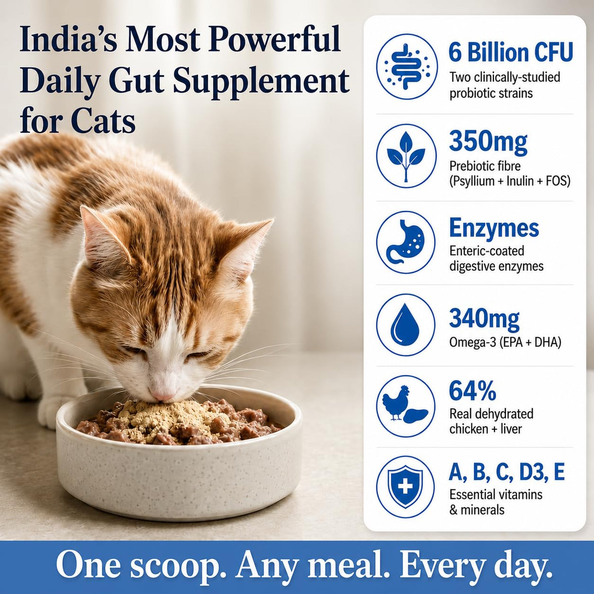 Whisker and Wilde Cat Gut Health Supplement | Targeted Gut Health Support | 6 Billion CFU Probiotics for Loose Stools, Vomiting, Gas and Paw Licking | L-Methionine for Urinary Health | 300g