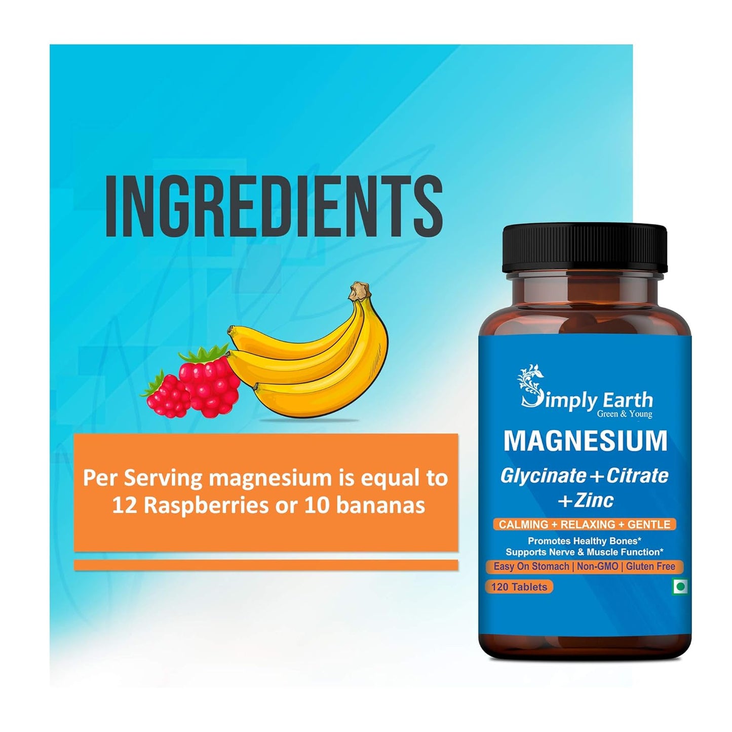 Simply Earth Nutrition Combo: 120 Magnesium Complex Tablets + 120 Multivitamin Tablets - Complete Blend of Vitamins, Minerals & Probiotics for Bone & Heart Health