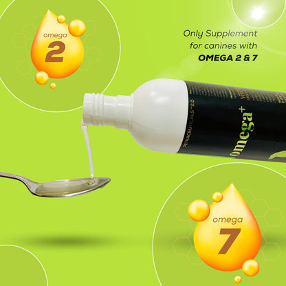 Venttura Omega+ Comprehensive Supplement of 2, 3, 6, 7 & 9 Omega Fatty Acid for Dogs | Healthy Skin, Glowing Coat and Boosting Health | for All Life Stages | Omega 2+3+6+7+9, Fish Oil | (250 ml Oil)